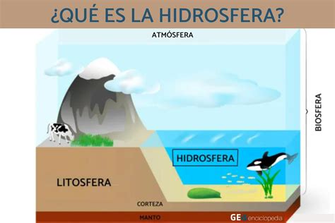 Hidrosfera Qué Es Y Características Resumen