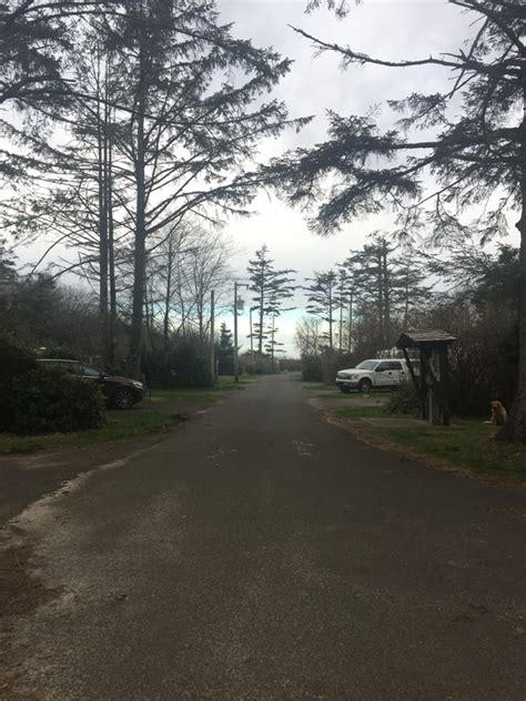 We did not find results for: Camping at Cape Lookout State Park - we always WAnder.......