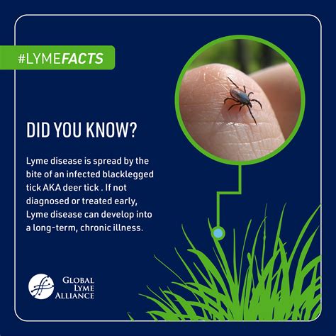 Lyme Disease Awareness Month Tool Kit