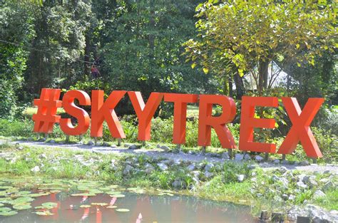 Opening & closing timings, parking options, restaurants nearby or what to see on your visit to skytrex adventure? Team Building 2014 Skytrex Adventure