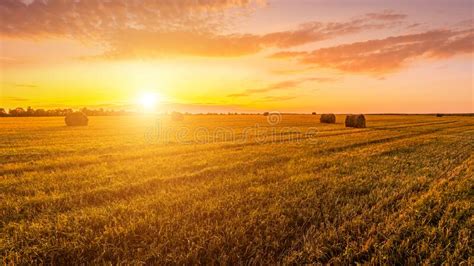 Scene Of Sunset On The Field With Haystacks In Autumn Season Rural