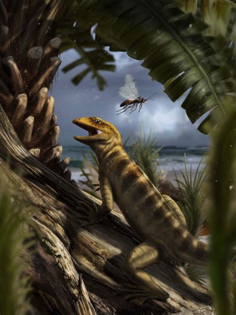 Worlds Oldest Lizard Fossil Reveals New Evolutionary Clues