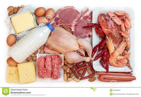 Food High In Animal Protein Stock Photo - Image: 23448410