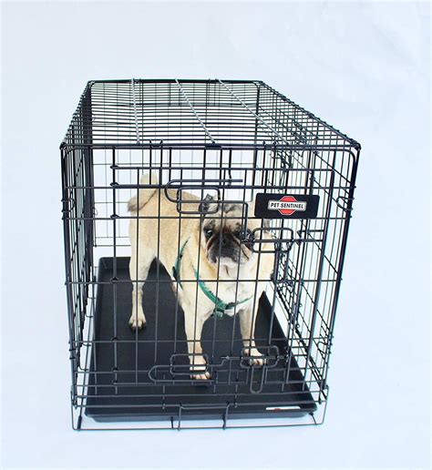 Pet Sentinel Medium Dog Crate Crate For Traveling With Your Pet This