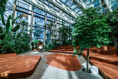 Dżungla W Sercu Biurowca Olivia Business Centre Otwiera Całoroczny Ogród