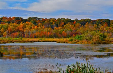 Autumn Marsh At Patoka Lake Jan Navarro Flickr