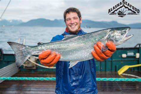 Wild Salmon Of Alaska