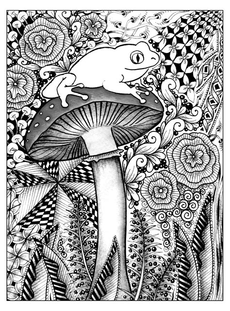 The Frog On A Big Mushroom Jungle And Forest Adult Coloring Pages