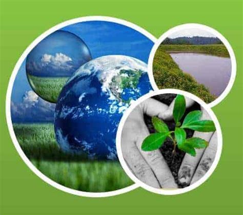 819 likes · 1 talking about this · 55 were here. Ziraat Mühendisi Ne İş Yapar | İş İmkanları Neler ...