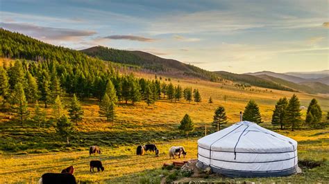 Mongolia 2021 Los 10 Mejores Tours Viajes Y Actividades Con Fotos