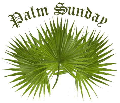 Plant, leaf, tree, transparent png image & clipart free download. Free Palm Sunday Clipart Pictures - Clipartix