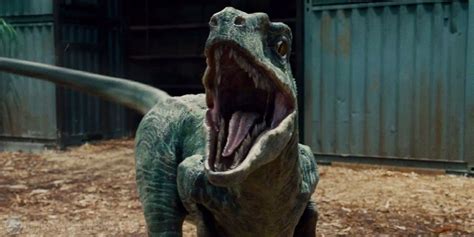 Jurassic World What Makes Blue Different Screen Rant