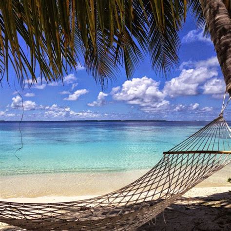 Trees that are under 6 inches in diameter should not hold any hammocks. Ahhh. Hammock, beach and palm tree. Perfection. #Ayada # ...