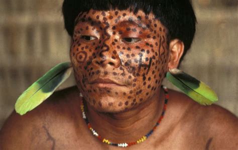 Les Yanomami Dénoncent Lorpaillage Clandestin Et Labsence De