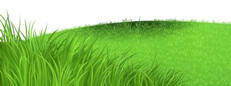 Grass Background Clipart Png