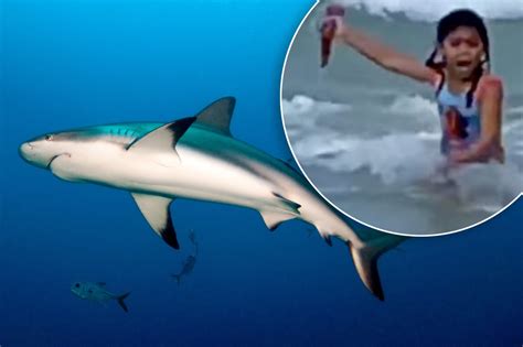 Woman Records 6 Year Old Daughter Fleeing From Shark