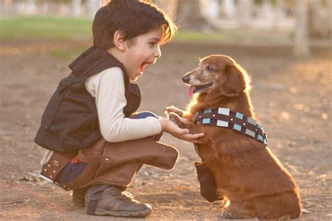 Here's a Reason to Get a Puppy: Kids With Pets Have Less ...