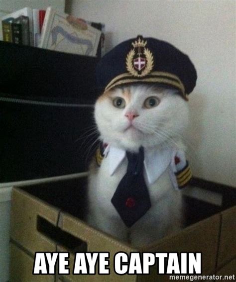 Aye Aye Captain Captain Cat Meme Generator