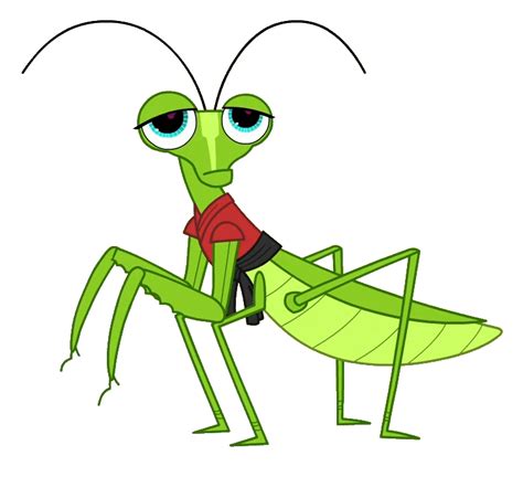 Cricket Clipart Insect Grasshopper Cricket Insect Grasshopper