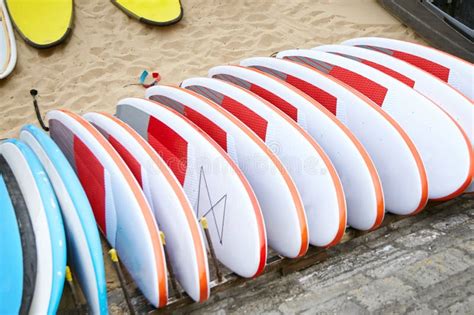Many Surfboards On The Sandy Beach Stock Photo Image Of Equipment