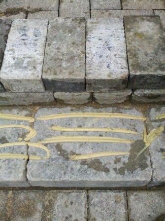 The problem may just be that a section of bricks that have, for whatever reason step 1: Brick Paver Step Repair, Failing Front Porch Steps - IL ...