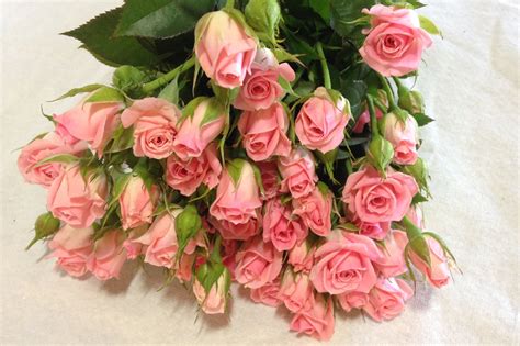 Roses Ca Garden Spray Odelia Diy Bridal Bouquet Wedding Flower
