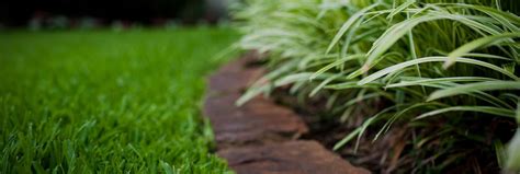 Lawn care companies offer a range of services in addition to mowing, including weed and pest control, yard clean up and tree trimming that boost when you talk to the companies that offer lawn service near me, ask questions that give you important information you can use as you make your decision. Lawn Care Macon, GA - Trey's Lawn Service | Lawn ...
