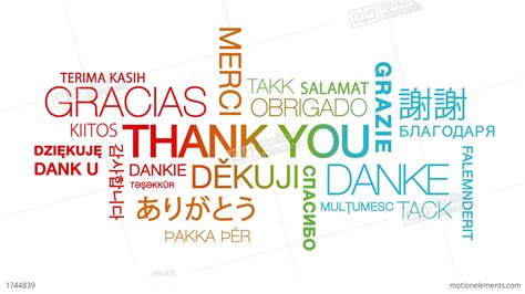 Thank You In Different Languages Stock Animation | 1744839