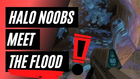 Halo Noobs Meet The Flood For The First Time Compilation Youtube