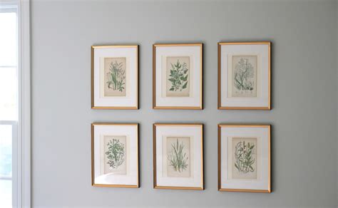 Jenny Steffens Hobick Gold Leaf Frames Mat Boards And Botanical Prints