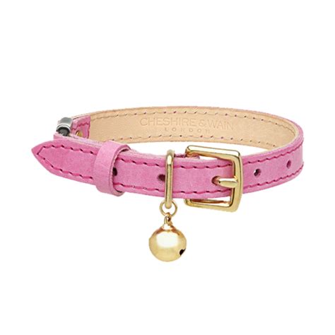 Collar De Perro Png