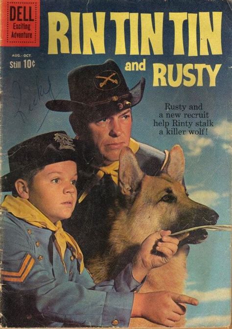 The 60s Official Site The Adventures Of Rin Tin Tin