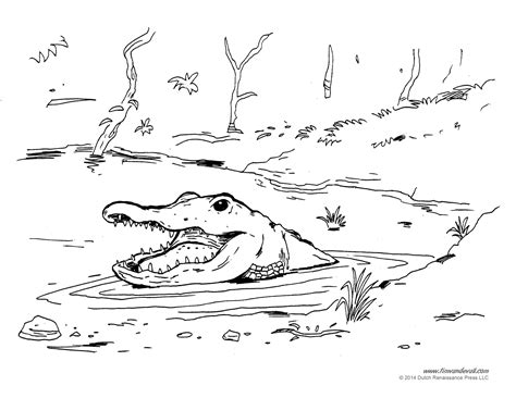 Alligator Coloring Pages – Tim's Printables