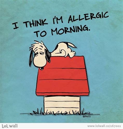 I Think Im Allergic To Mornings I Dont Think I Know I
