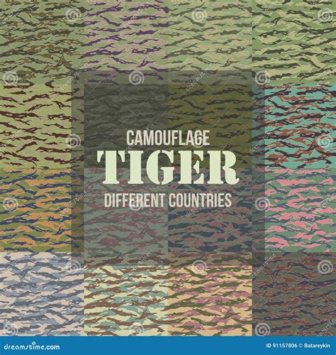 Ecuador Tiger Stripe Camouflage Seamless Patterns Vector Illustration