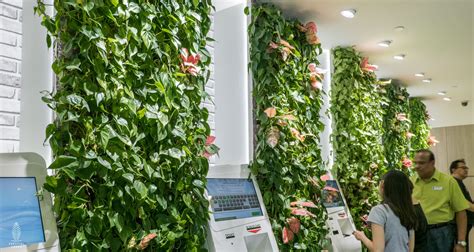 Ktph combines medical expertise with high standards of personalised care, set within a healing environment, to provide care that is good enough for our. 18+ Singapore Vertical Garden Tower Background