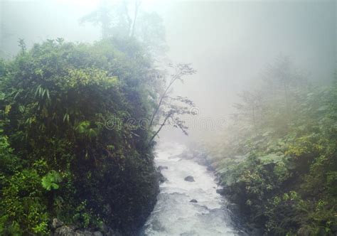 Foggy Jungle Stock Photo Image Of Ecotourism Elevation 108521288