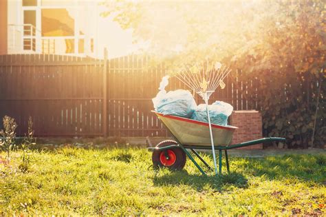 What Is Spring Clean Up For Landscaping Storables