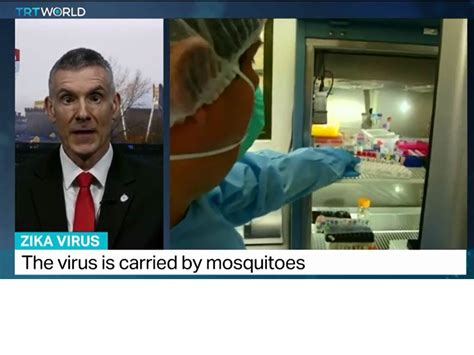 Media Work On Zika Virus Research Portal Lancaster University