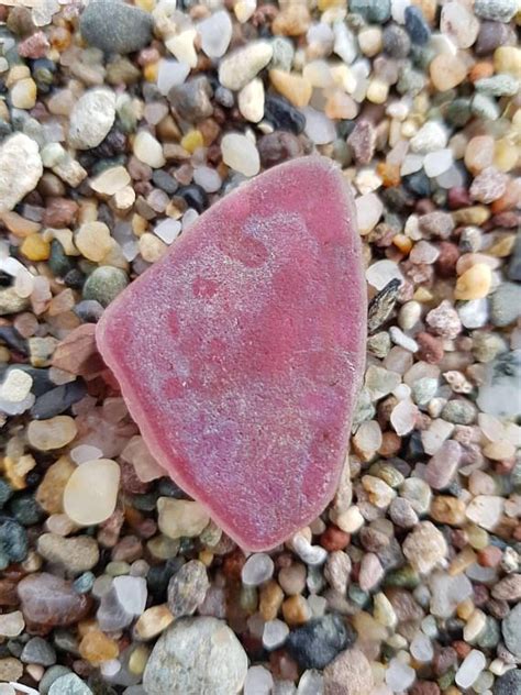 Pink Sea Glass With Iridescent Look On One Sidegenuine Surf Sea Glass Crafts Sea Glass Shell