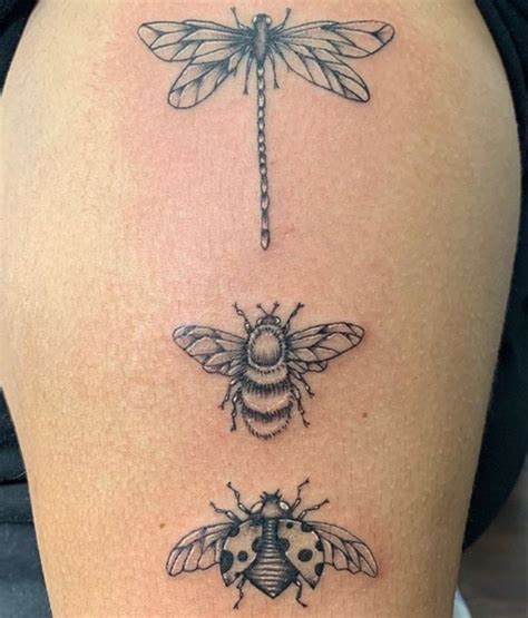 Insect Tattoo Insect Tattoo Lady Bug Tattoo Sleeve Tattoos