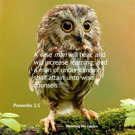 Proverbs 15 Proverbs Inspirational Scripture Book Of Proverbs