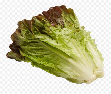 Lettuce Freetoedit Iceburg Lettuce Emojilettuce Emoji Free