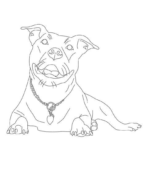 Pitbull Coloring Pages Free Download Educative Printable