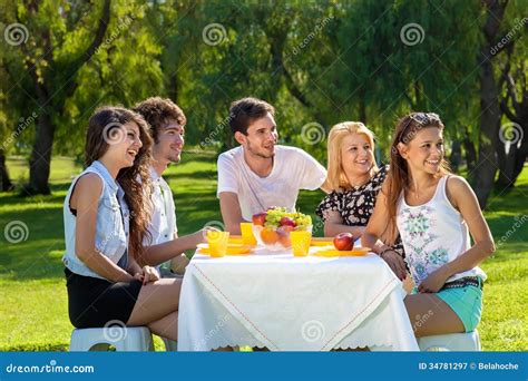 Group Of Young Friends Having A Picnic Stock Image Image Of Eating Attractive 34781297