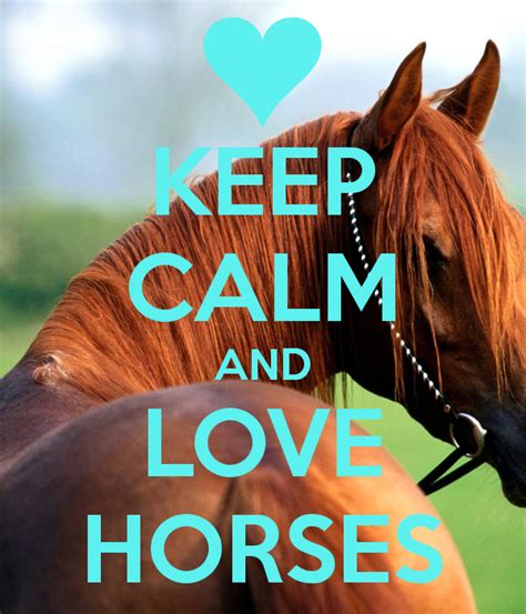 Keep Calm And Love Horses Funny Horses Horse Love Beautiful Horses