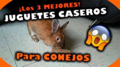 Existen puzzles más simples y más complejos. JUGUETES CASEROS para CONEJOS FÁCILES de HACER 🐰 - YouTube
