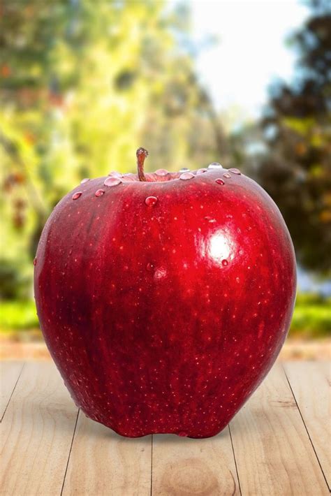 Can apples be kept on the countertop? Have you ever wonder why apples float when we put it in ...