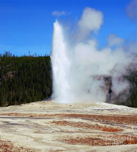 Old Faithful Geyser 6 Photograph By Kathleen Struckle Fine Art America