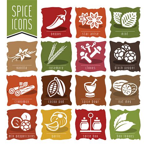 Royalty Free Spice Clip Art Vector Images And Illustrations Istock